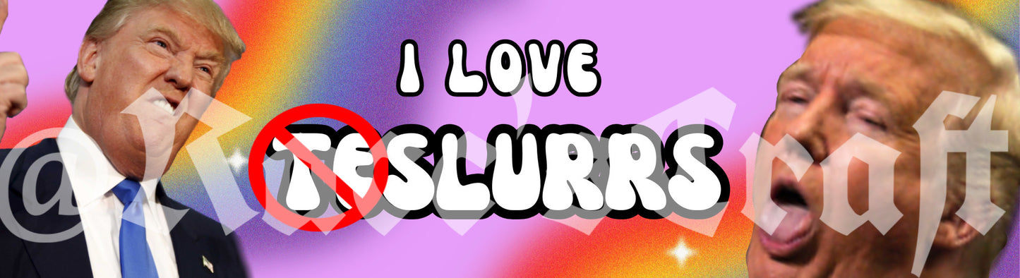 Politics Bumper Stickers