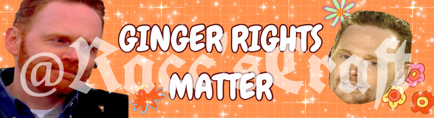 Politics Bumper Stickers